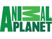 satelit-inesia-logo-AnimalPlanet-freesat-skylink